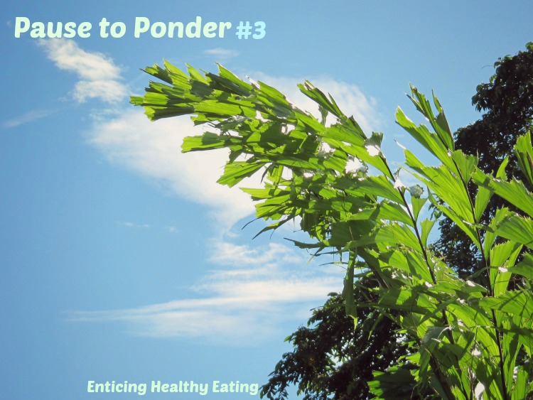 Pause to Ponder #3--Enticing Healthy Eating